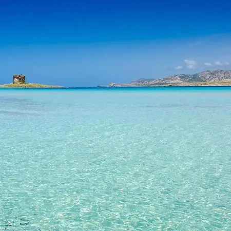 Blanco Sassari